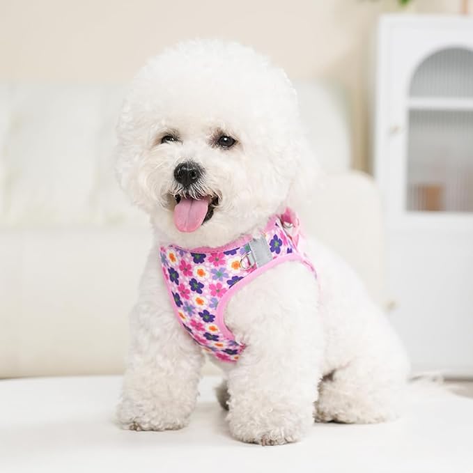 Step in Dog Harness and Leash Set, Flower Adjustable Easy Walk Puppy Harnesses - Image 6