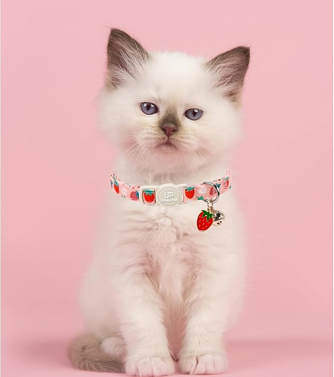 Cat Collar, Cat Collar with Bell, - Image 6