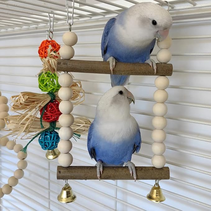 Bird Hook Swing with Bell Toys, Hanging Stand Swing, Double Layer Wooden Perch - Image 9