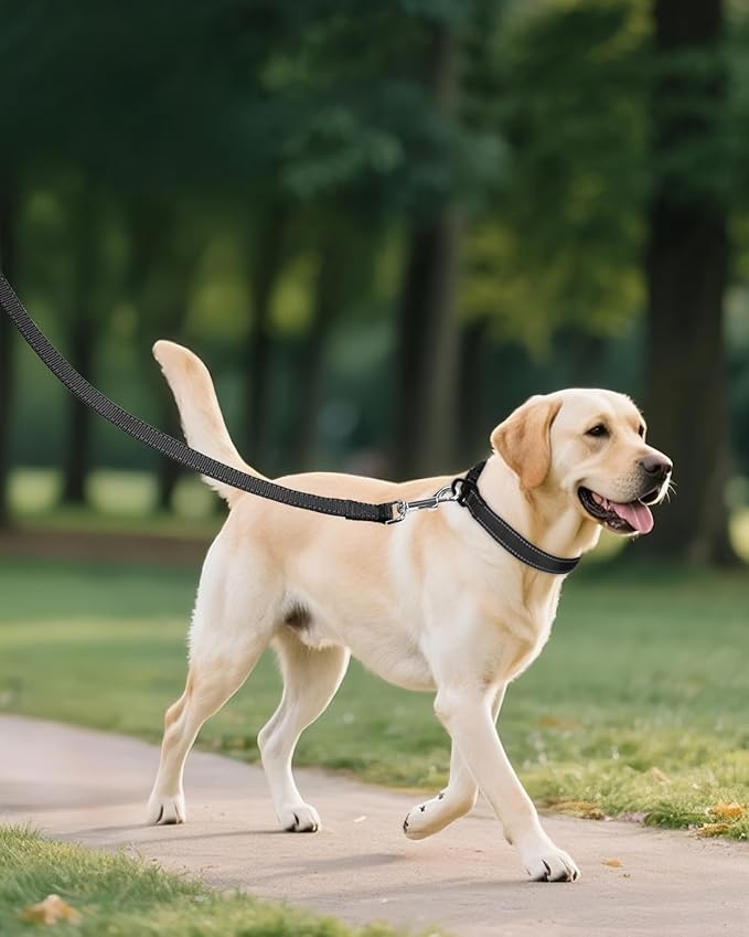 Joytale Dog Collar for Large Dogs, Strong Double-Sided Reflective Nylon Collar - Image 6