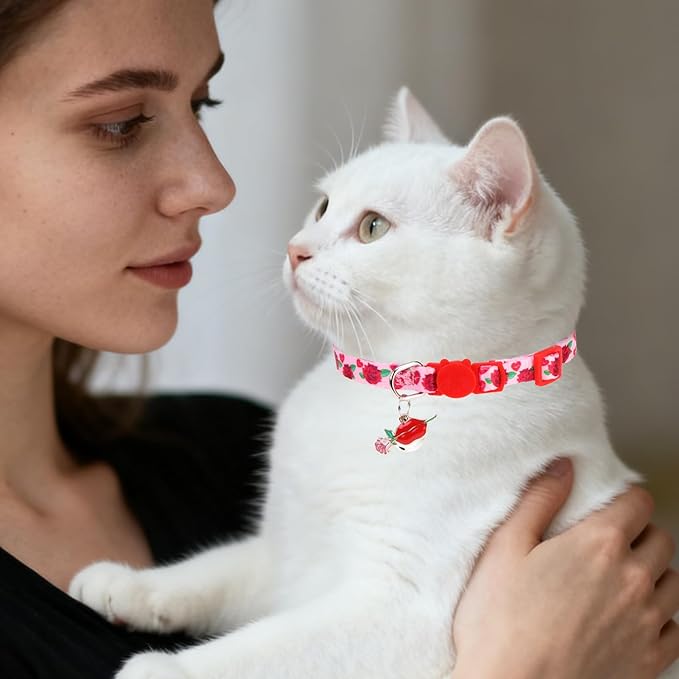 PUPTECK Cat Collar Breakaway - Image 8