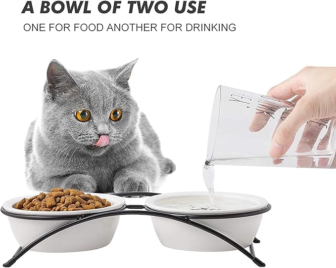 Cat & Dog Bowls - Image 7