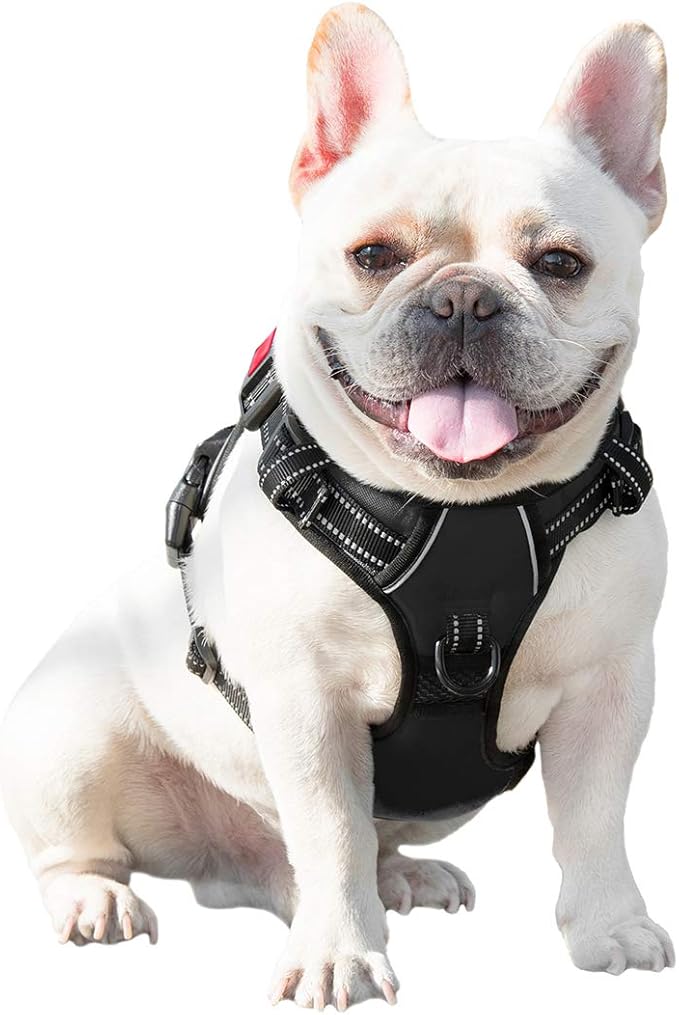 PHOEPET No Pull Dog Harnesses for Small Dogs Reflective Adjustable Front Clip - Image 7