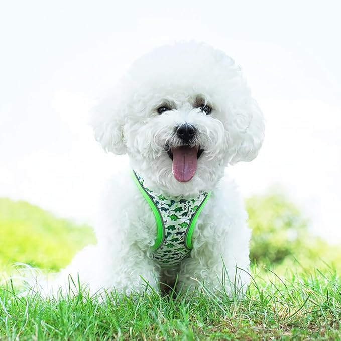 Step in Dog Harness and Leash Set, Flower Adjustable Easy Walk Puppy Harnesses - Image 7