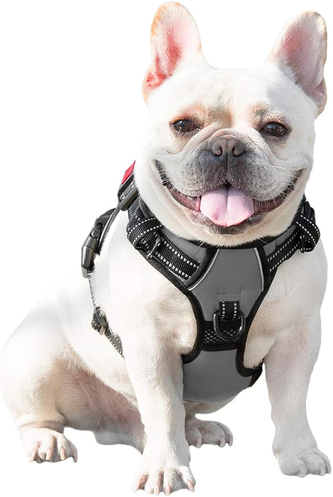 PHOEPET No Pull Dog Harness Medium Reflective Front Clip Vest - Image 6