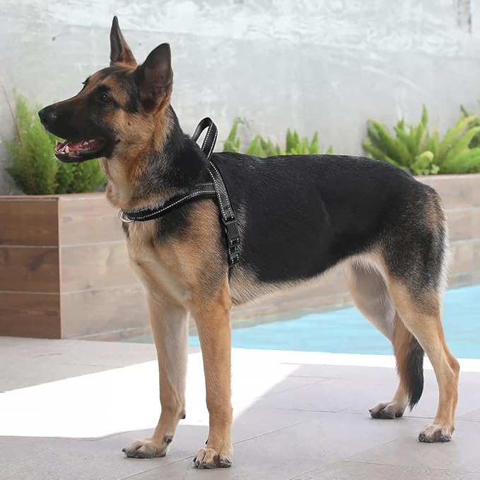 Plutus Pet No Pull Dog Harness - Image 5
