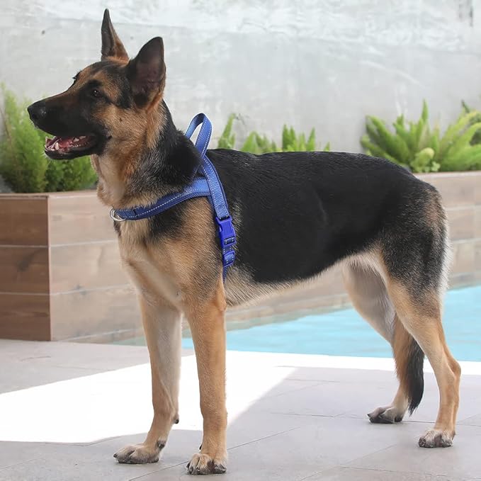 Plutus Pet No Pull Dog Harness - Image 5