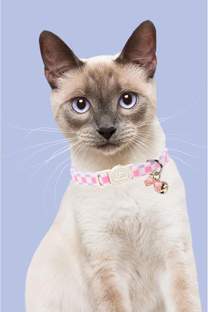 Cat Collar, Pretty Plaid Kitten Collars - Image 6