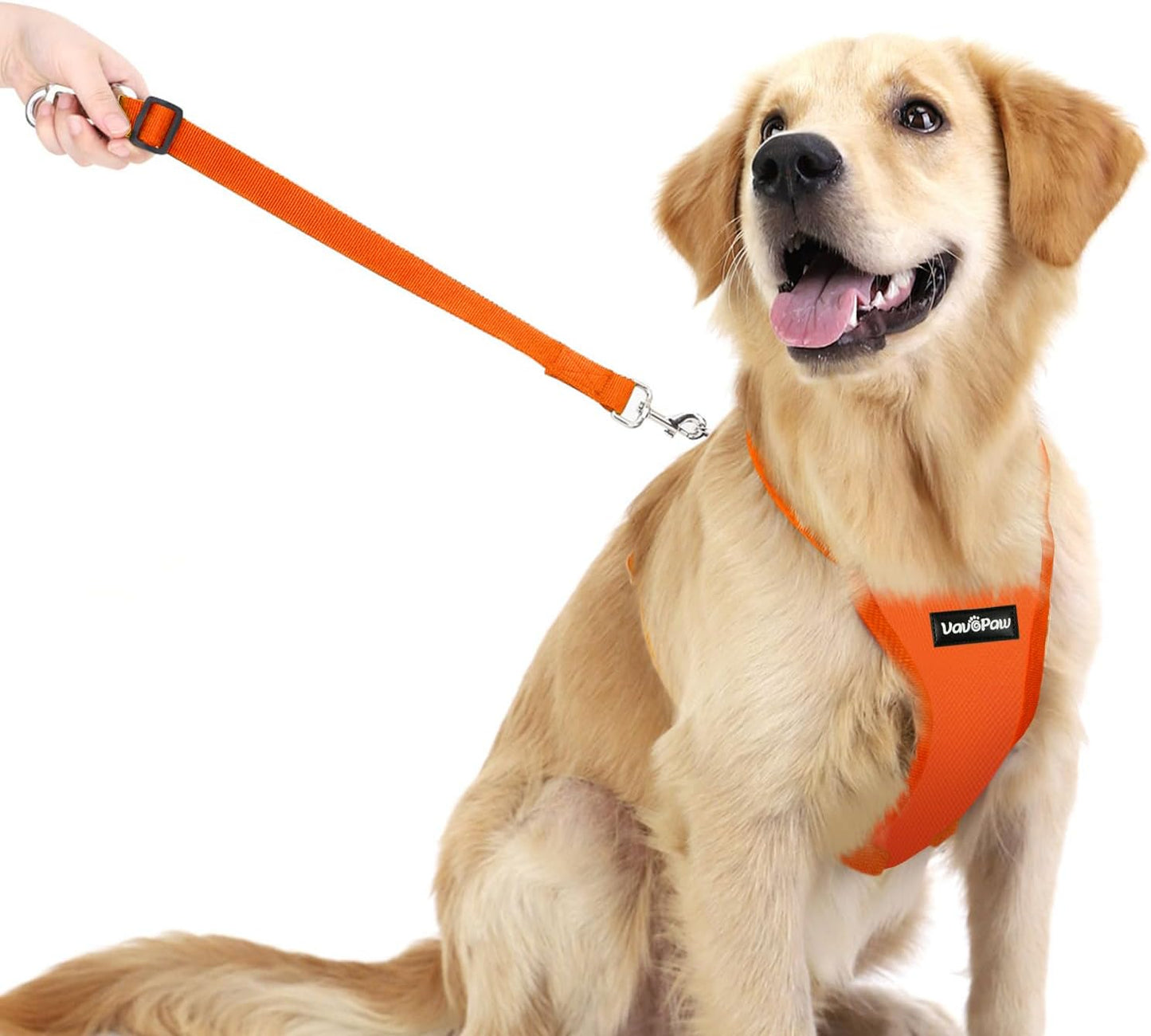 Dog Seat Belt, Safety Vest Dog Car Harness with Adjustable Buckle Dog Seat Belt for Vehicle Nylon Pet Safety Seat Belts Heavy Duty(XL, Orange)