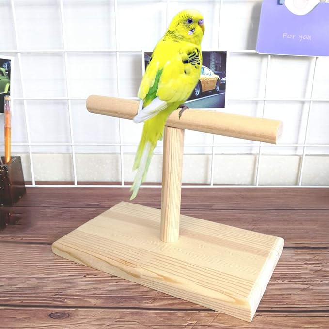 LINSHRY Bird Training Stand, Portable Tabletop Bird Perch Spin Training Perch - Image 7