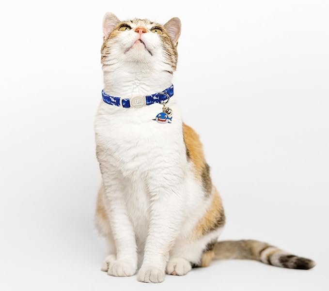 Cat Collar, Pretty Ocean Kitten Collars - Image 6