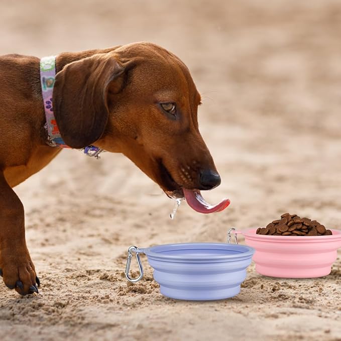 Kytely Collapsible Dog Bowls Medium, Portable Pet Water Food Bowl - Image 8