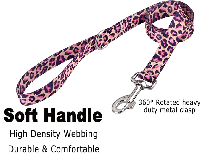 Mihqy Dog Collar and Leash Set - Image 4