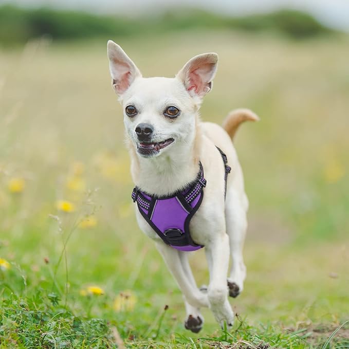 rabbitgoo Dog Harness No Pull - Image 8