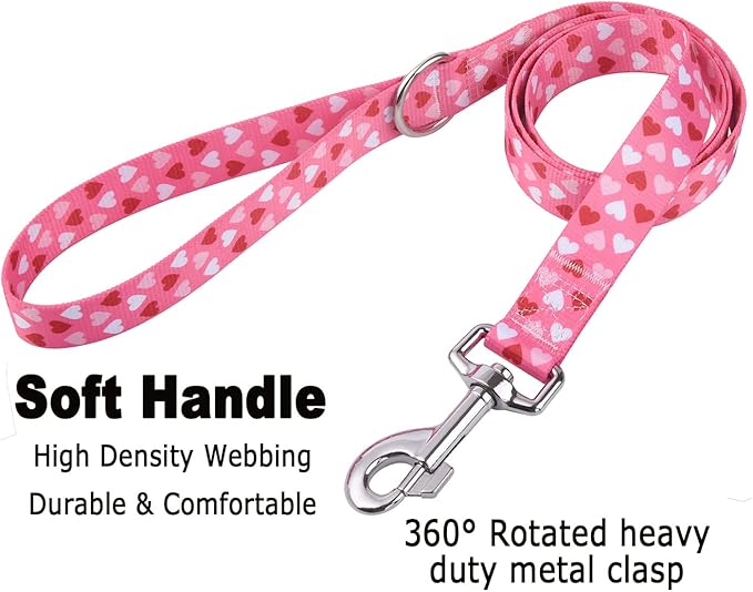 Mihqy Dog Collar and Leash Set - Image 4