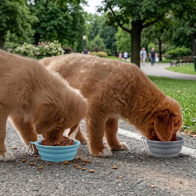 Kytely Collapsible Dog Bowls for Travel, Foldable Pet Food Bowl - Image 8