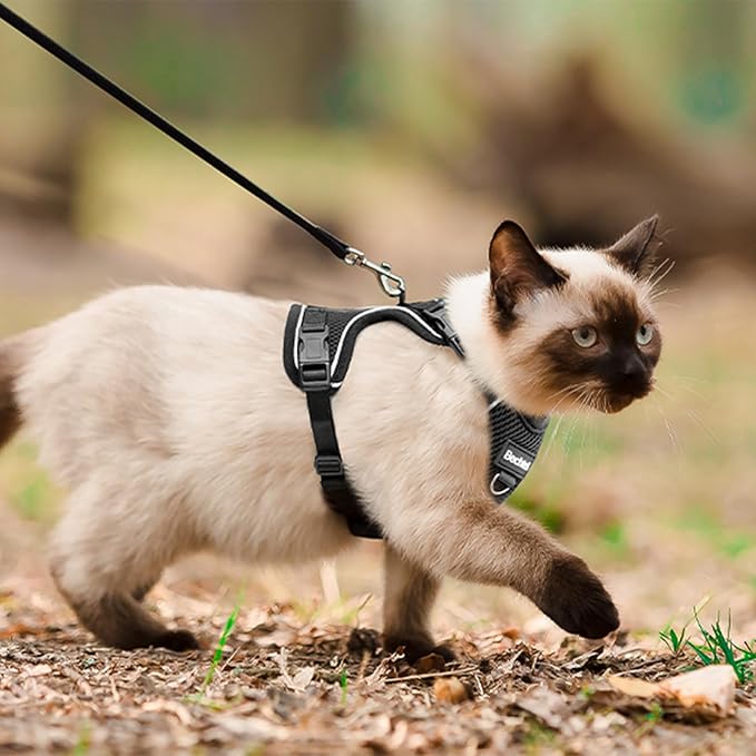 Cat Harness and Leash for Walking, The Upgrade Can be Adjusted in Four - Image 6