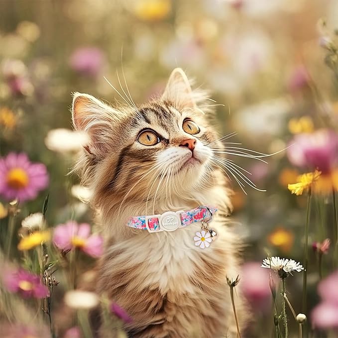 2 Pack Floral Cat Collars - Image 6