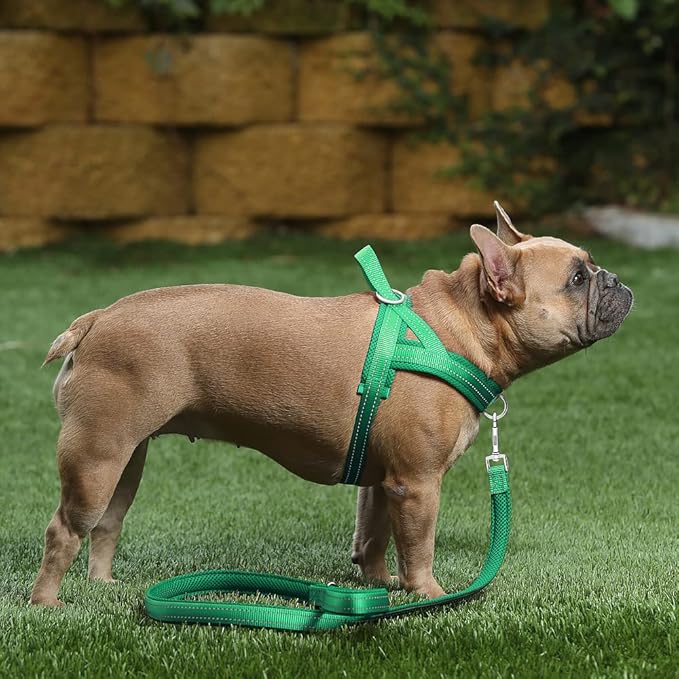 Plutus Pet No Pull Dog Harness - Image 5