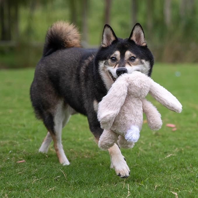 Best Pet Supplies Interactive Squeaky Dog Chew Toy, Ideal Dog Toys - Image 6