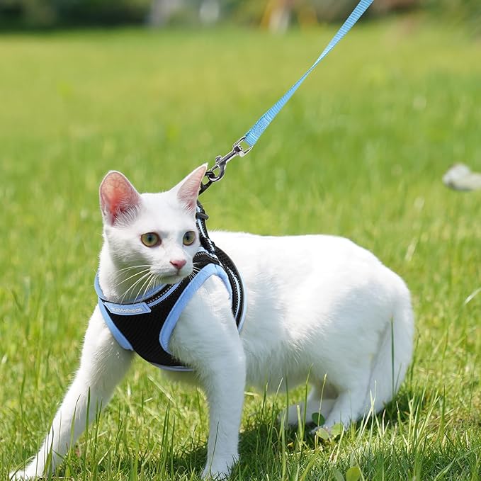 rabbitgoo Cat Harness and Leash, Step-in Escape Proof Kitten Harness Set - Image 9