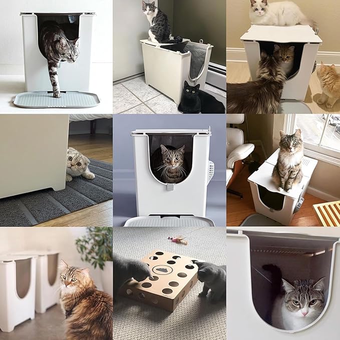 Modkat Flip Litter Box with Lid - Image 7