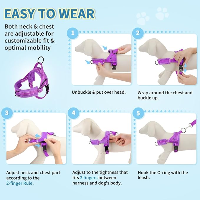 Lukovee No Pull Dog Harness and Leash Set, Soft Padded Small Dog Harness - Image 9