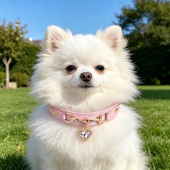 THAIN Fashion Rhinestones Dog Collar - Image 5