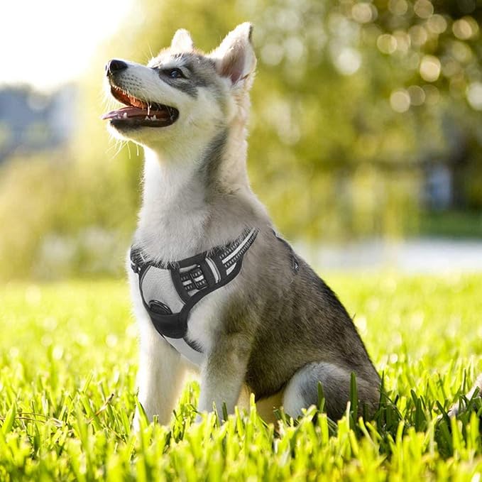 rabbitgoo Dog Harness No Pull - Image 8