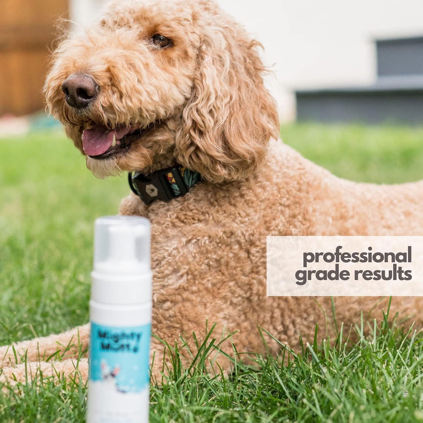 Mighty Mutt Hypoallergenic Waterless Shampoo for Dogs | Dry Shampoo for Dogs | Waterless Foam No Rinse | Anti-Itch, Soothing and Deodorizing | Spring Meadow | 8 Fl Oz