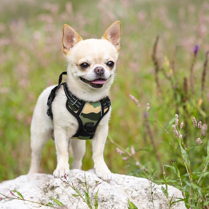 rabbitgoo Dog Harness No Pull - Image 8