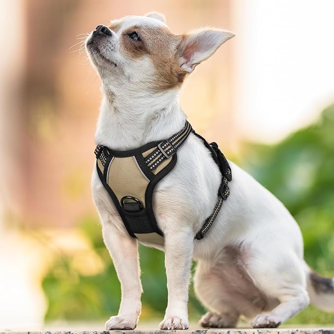 rabbitgoo Dog Harness No Pull - Image 8