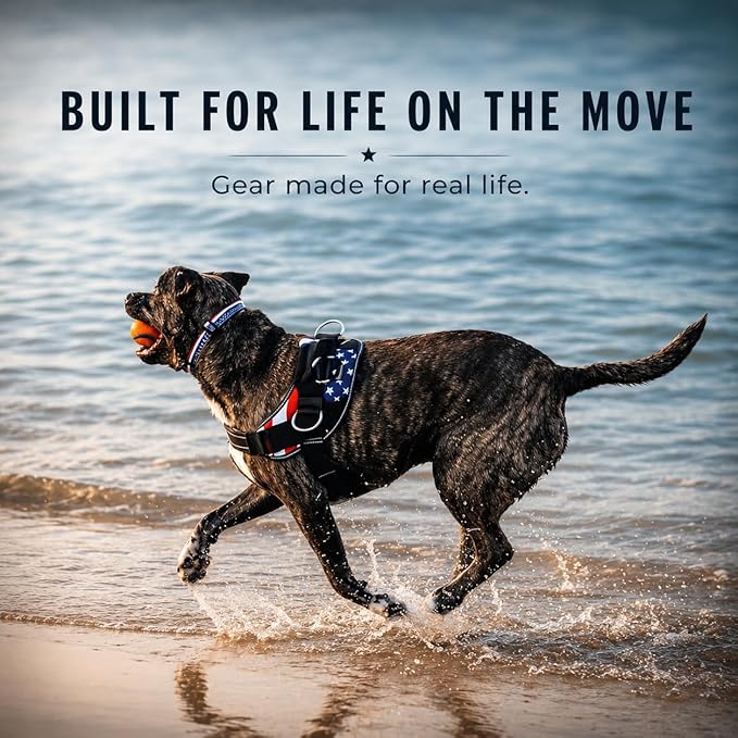 ShawnCo Essential Dog Harness, No-Pull Pet Vest - Image 9