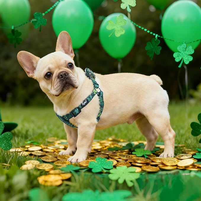 PUPTECK No Pull St. Patrick Dog Harness Soft Adjustable Basic Nylon Step in - Image 6
