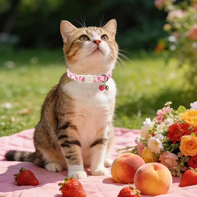 2 Pack Pink Strawberry Cat Collars Breakaway - Image 6