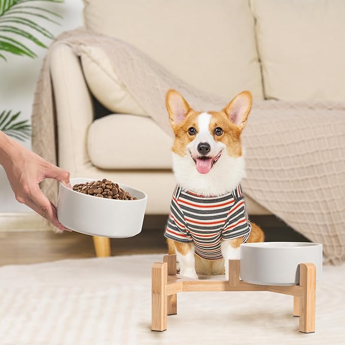 PTOBER Elevated Ceramic Dog Bowl Set - Image 6