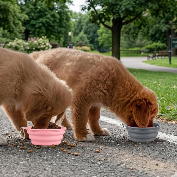 Kytely Collapsible Dog Bowls for Travel, Foldable Pet Food Bowl - Image 7