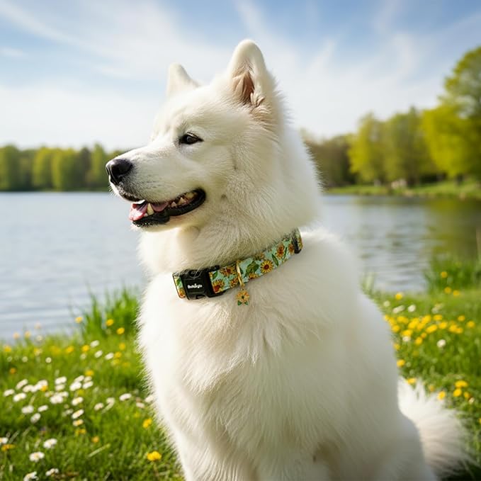 Dog Collar for Extra Small Dogs, Spring &Summer Theme Dog Collars - Image 8