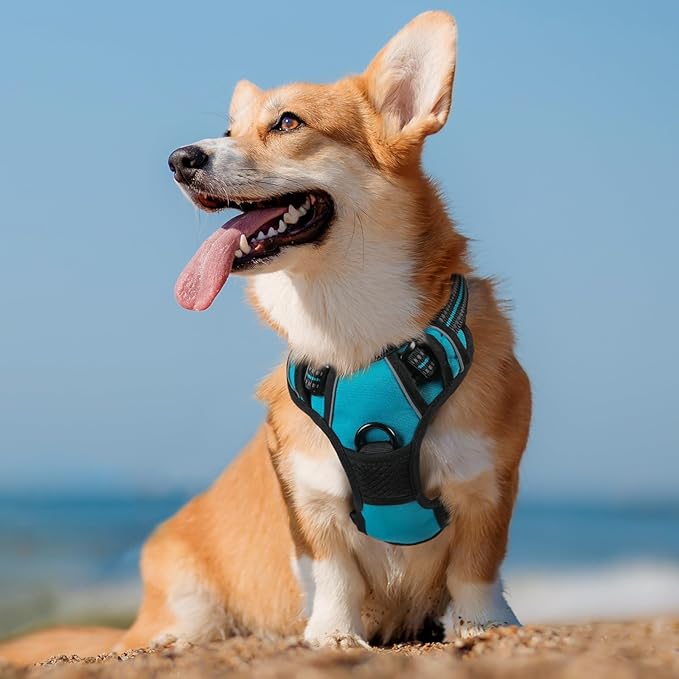 rabbitgoo Dog Harness No Pull - Image 8