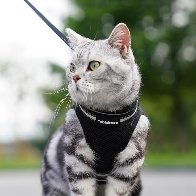 rabbitgoo Cat Harness and Leash, Step-in Escape Proof Kitten Harness Set - Image 9