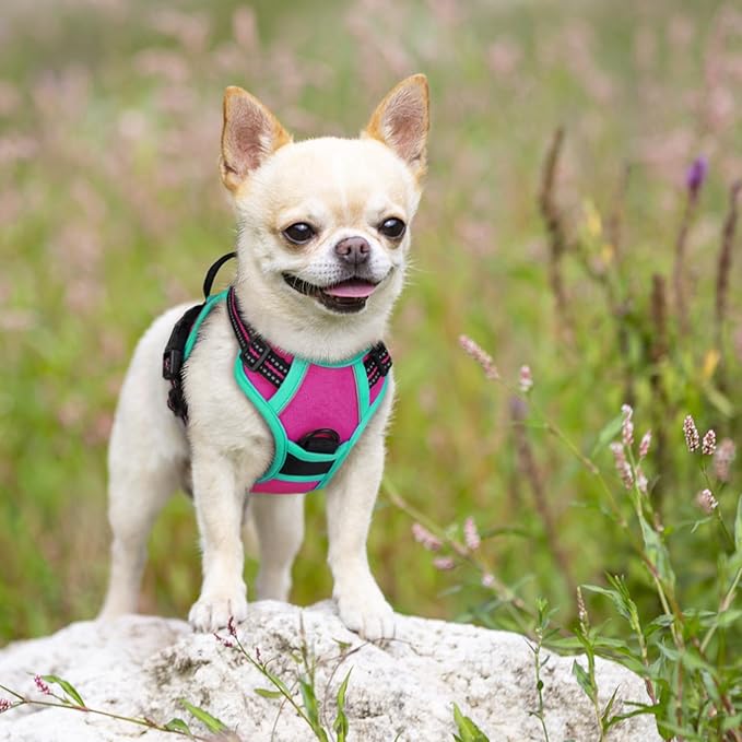 rabbitgoo Dog Harness No Pull - Image 7