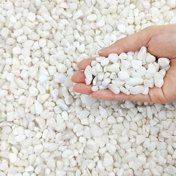 FANTIAN 10 lbs White Pebbles for Indoor Plants, 3/8 Inch Decorative White - Image 8