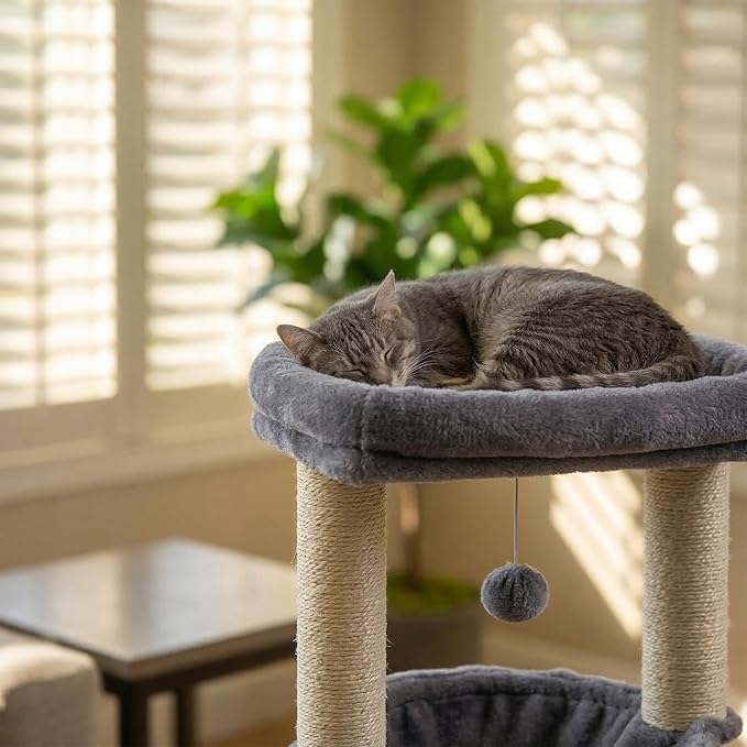 ROYPET Fashion Design 43.3" Cat Trees - Image 7