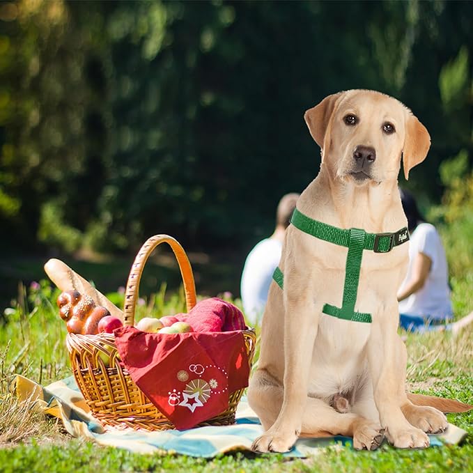 PUPTECK No Pull Dog Harness Soft Adjustable Basic Nylon Step in Puppy Vest - Image 5