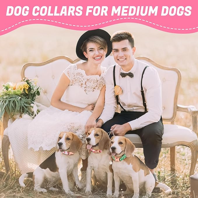3 Pack Floral Dog Collars for Medium Dogs Pink Dog Collar - Image 7