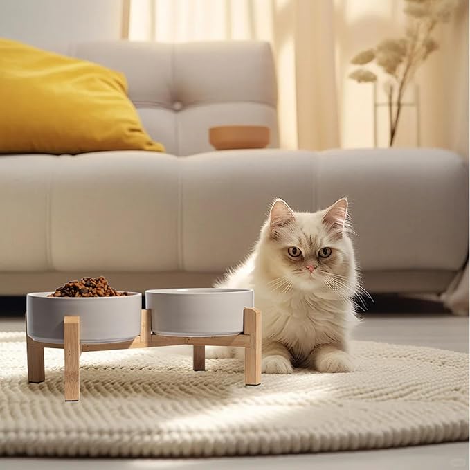 Elevated Ceramic Dog Bowl Set - Image 6