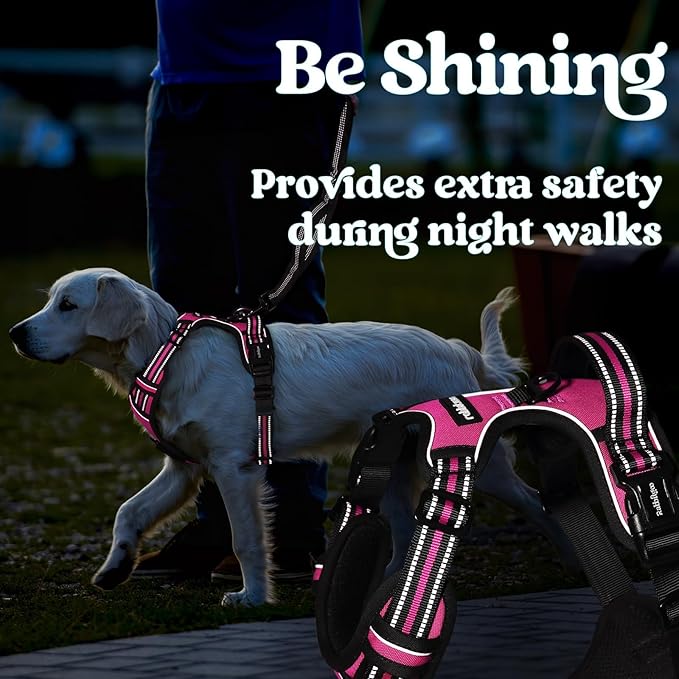 rabbitgoo Dog Harness for Large, No Pull Easy On & Off - Image 9
