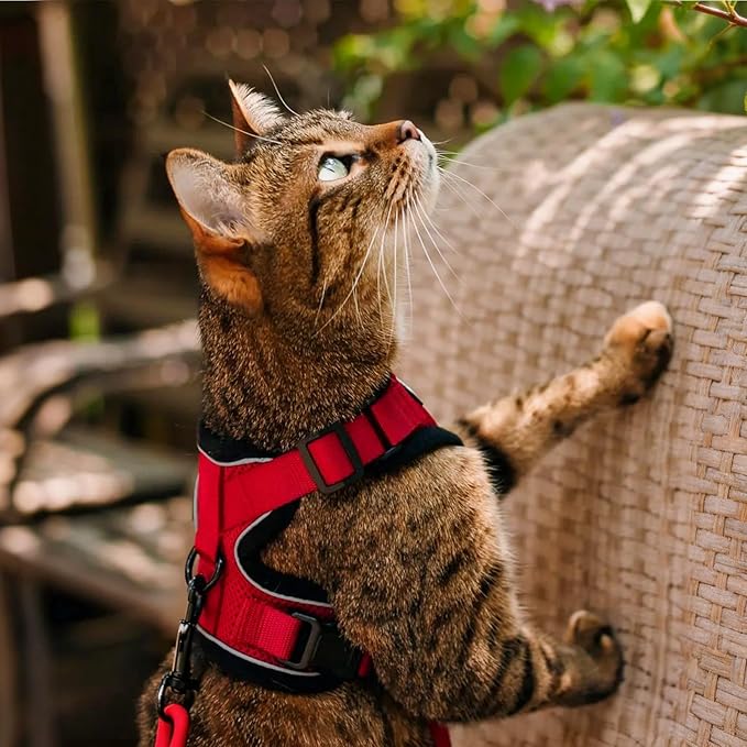 rabbitgoo Cat Harness and Leash - Image 9