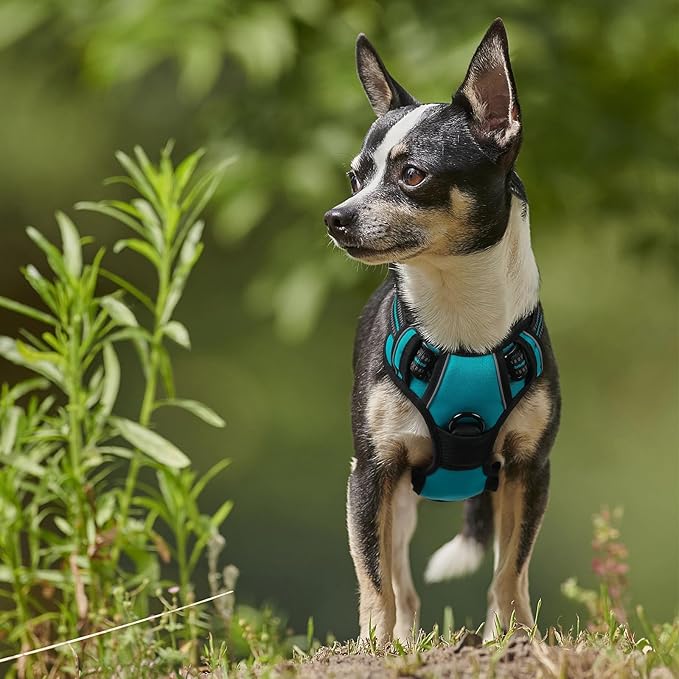 rabbitgoo Dog Harness No Pull - Image 8