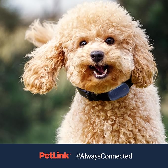 PetLink GPS Dog Tracker - Image 7